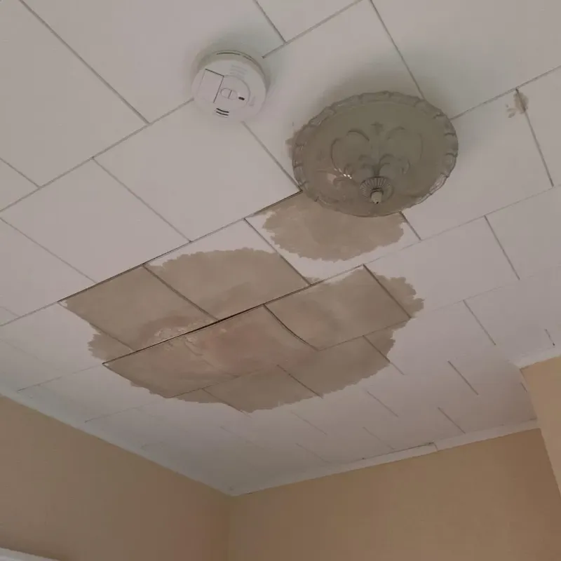 Ceiling Water Damage Repair in Chickamauga, GA
