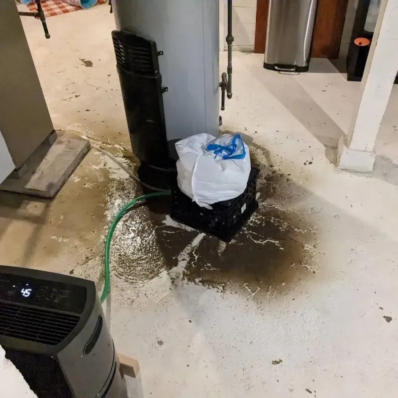 Sewage Backup Cleanup Service in Chickamauga, GA